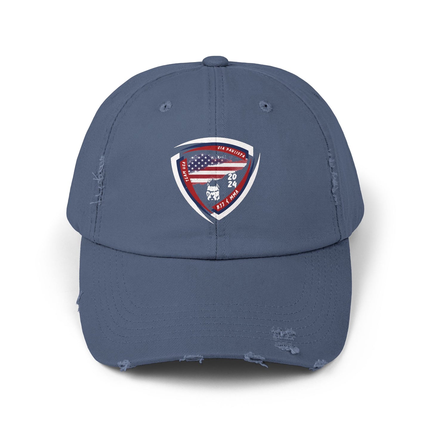 Team USA / Official Cap