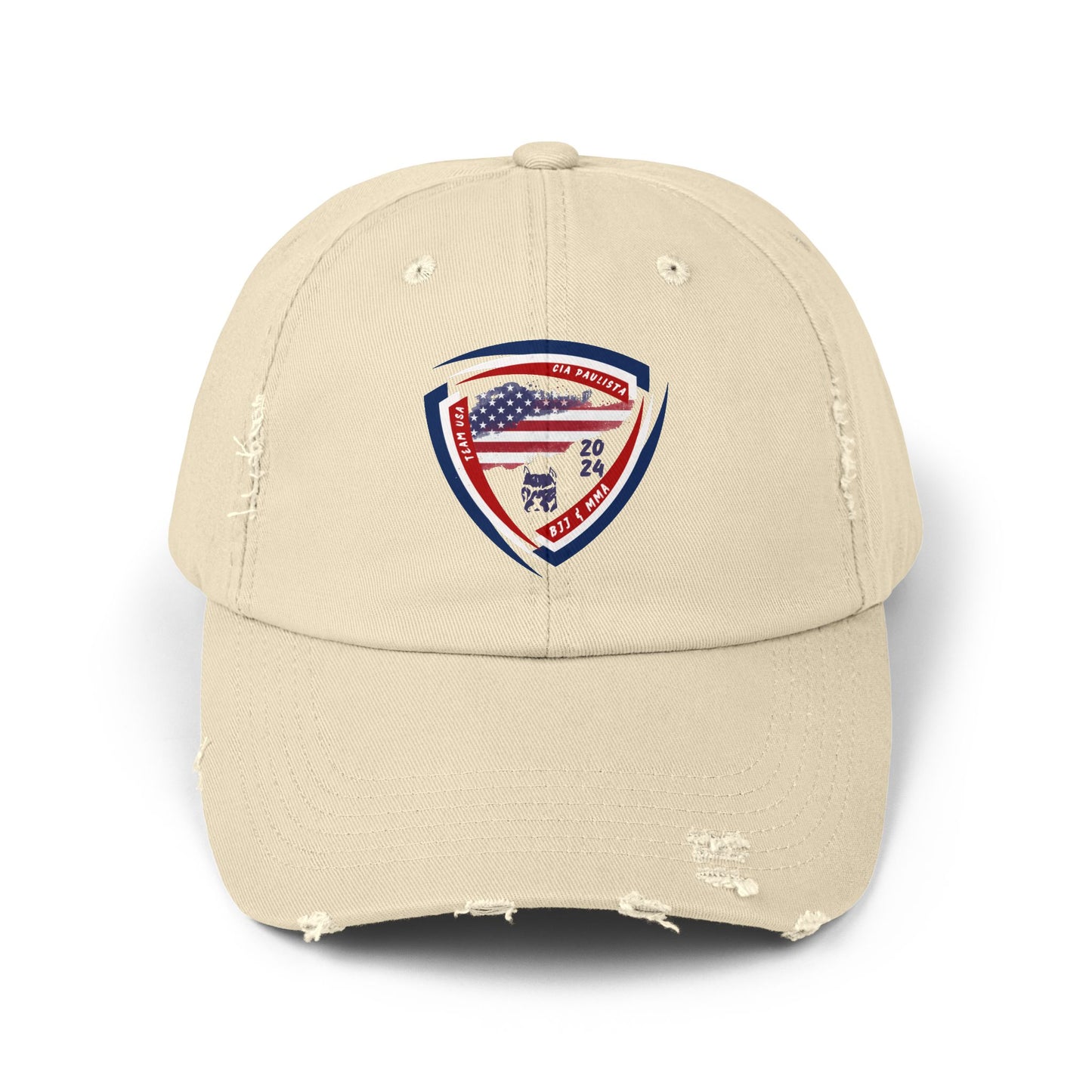 Team USA 2024 / Cap