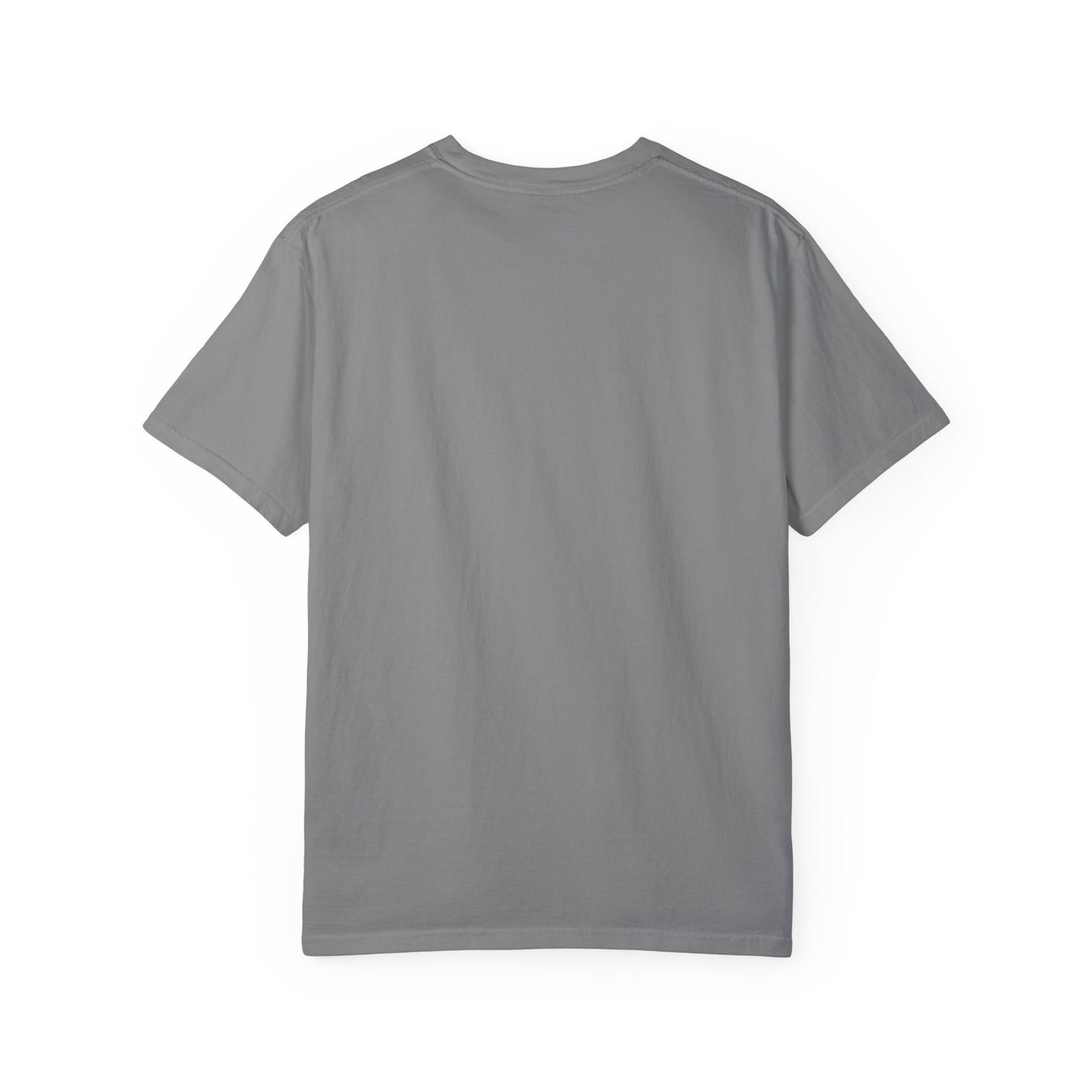 GP / Let's Clean Up the Mess and Make America Great Again / Unisex Garment-Dyed T-shirt