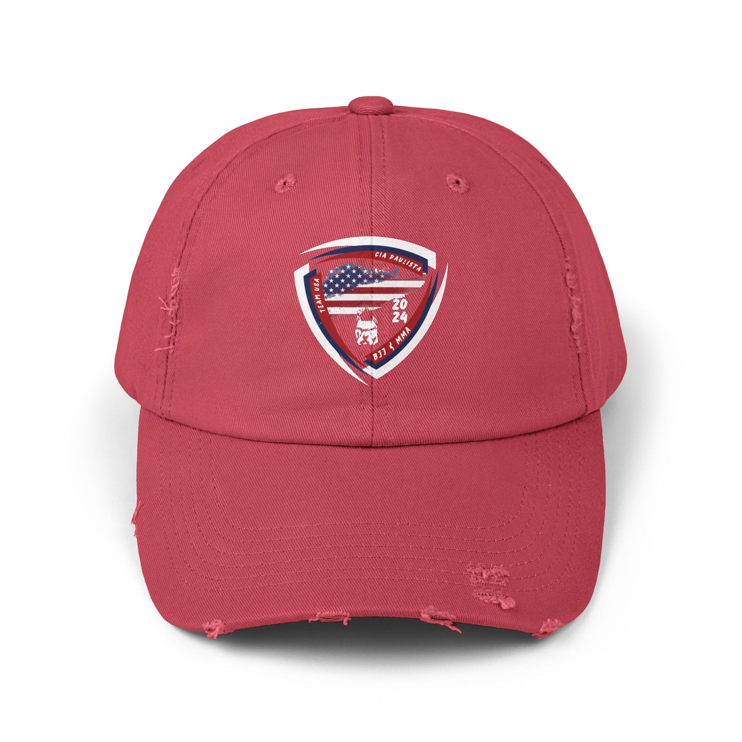 Team USA / Official Cap