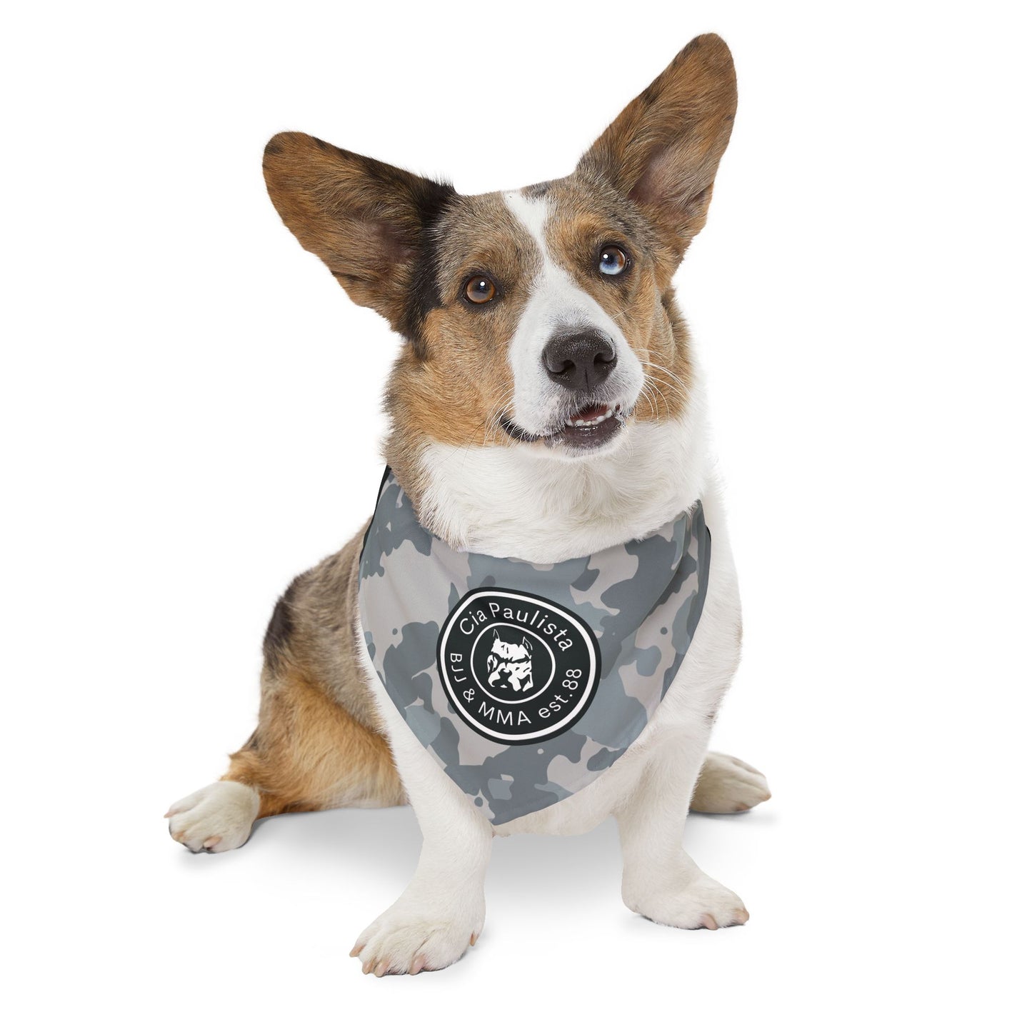 Coleção 2024 /Camo Bandana Collar