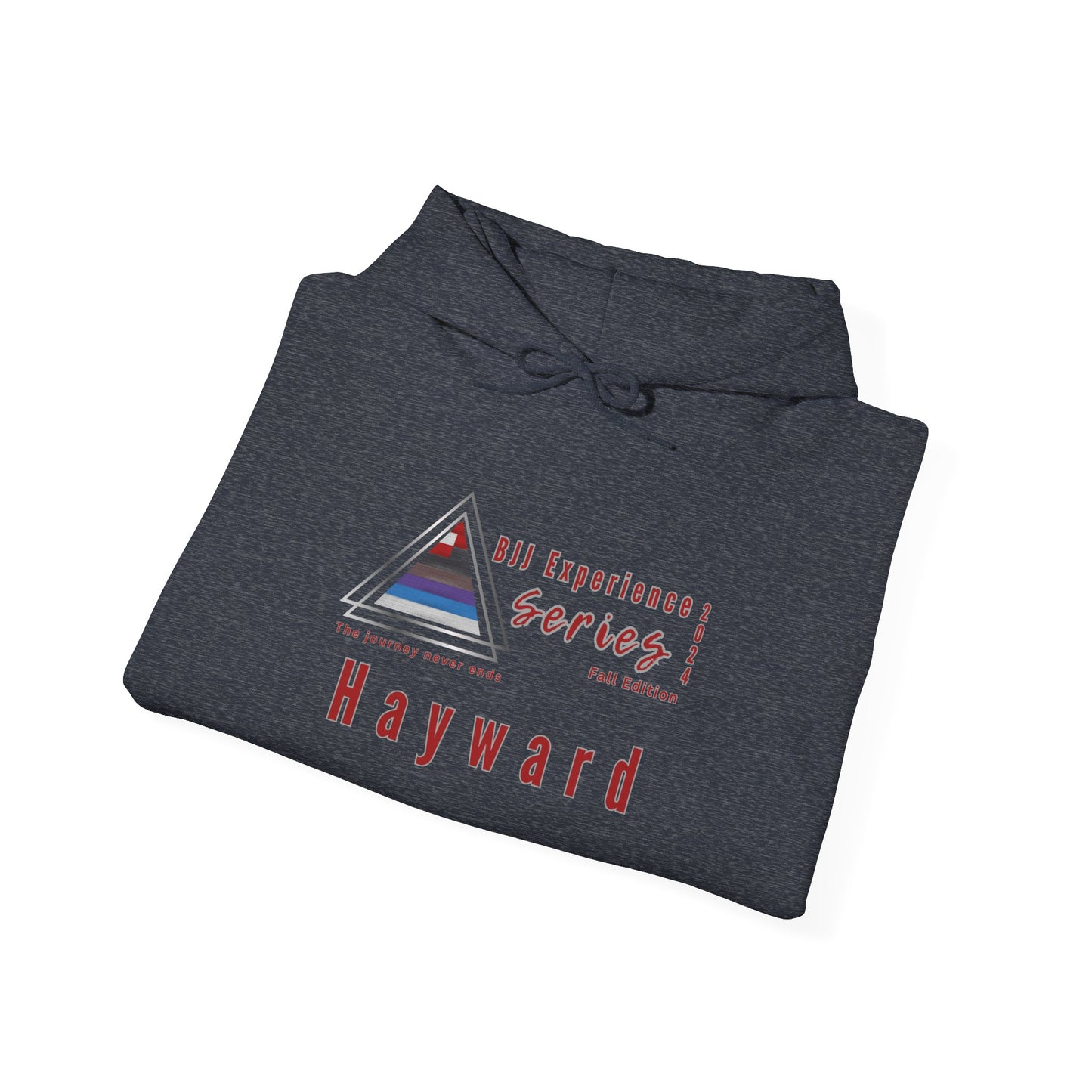 Hayward BJJ Experience / Moletom com capuz