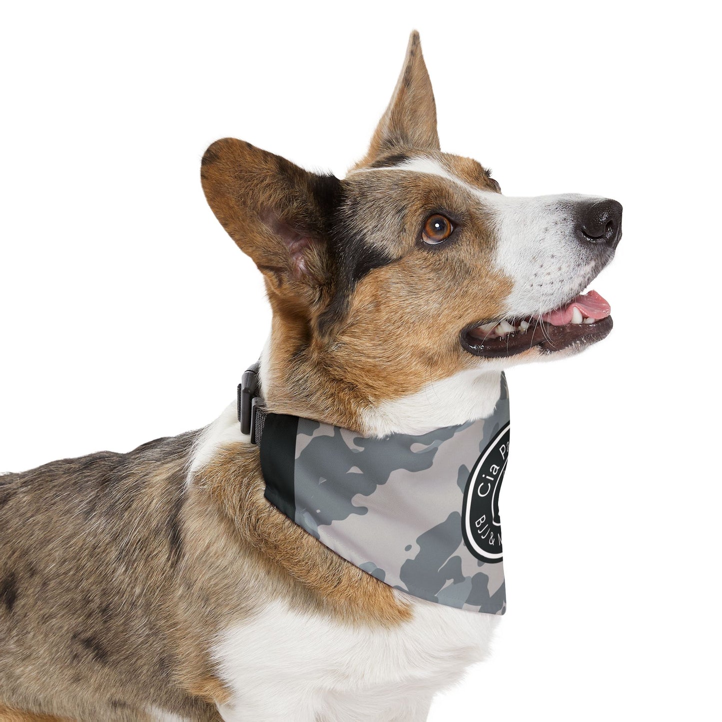 Coleção 2024 /Camo Bandana Collar