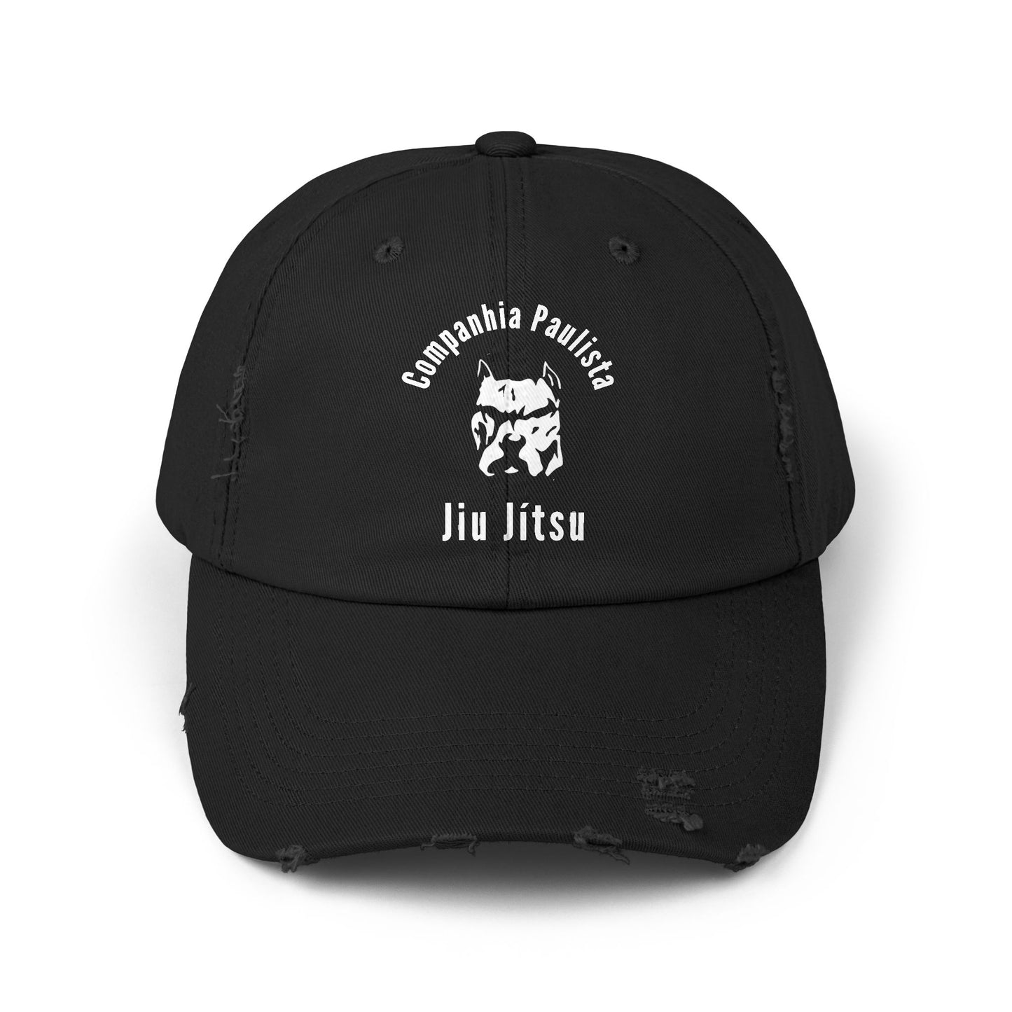 Cia Paulista Colección Retro 2024 Raiz / Gorra desgastada unisex
