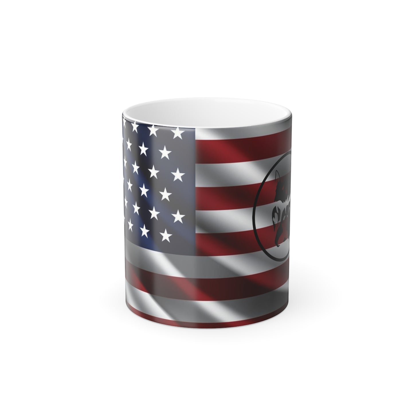 Mug Collection / USA / 11oz / MC/13