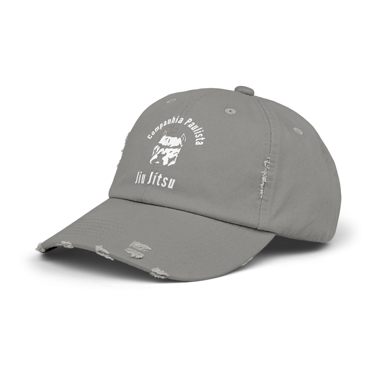 Cia Paulista Colección Retro 2024 Raiz / Gorra desgastada unisex