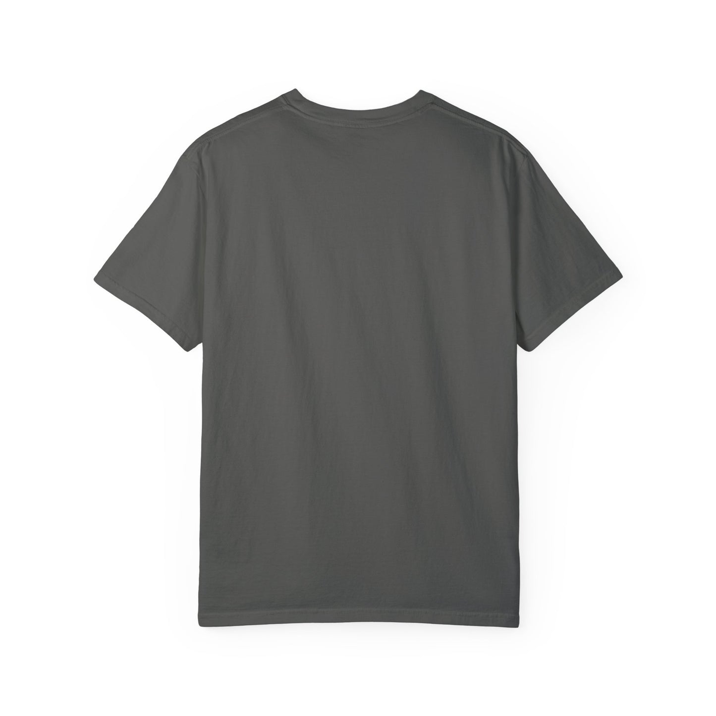 GP / Let's Clean Up the Mess and Make America Great Again / Unisex Garment-Dyed T-shirt