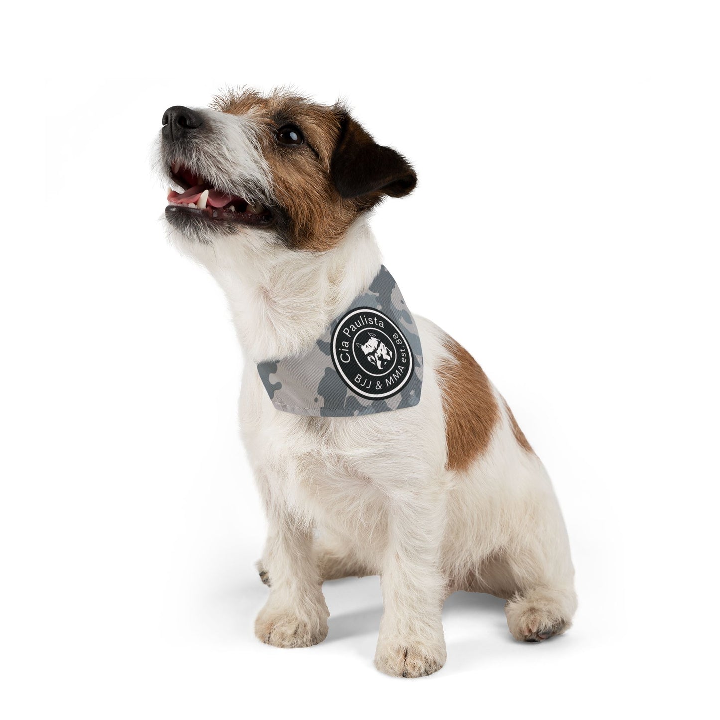 Coleção 2024 /Camo Bandana Collar