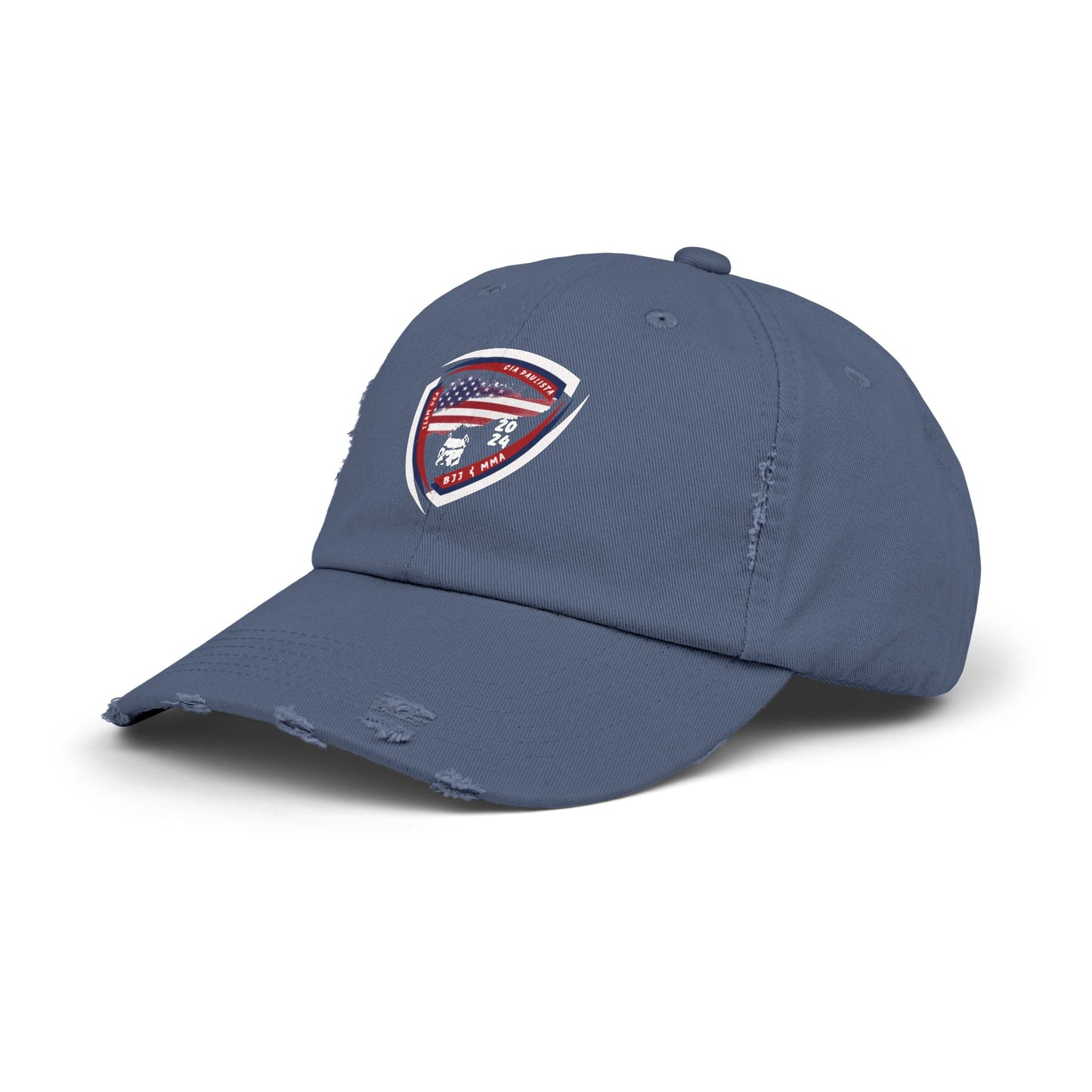 Team USA / Official Cap